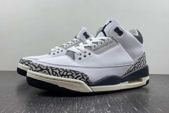 Air Jordan 3 GS Hide N’ Sneak DX6665-100