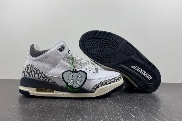 Air Jordan 3 GS Hide N’ Sneak DX6665-100