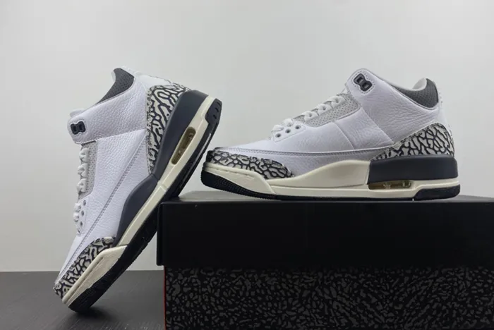 Air Jordan 3 GS Hide N’ Sneak DX6665-100
