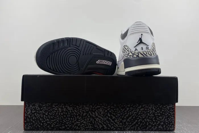 Air Jordan 3 GS Hide N’ Sneak DX6665-100