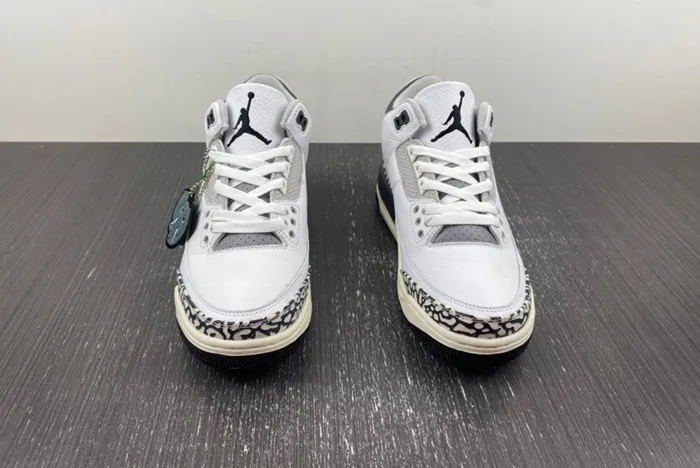 Air Jordan 3 GS Hide N’ Sneak DX6665-100