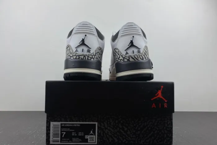 Air Jordan 3 GS Hide N’ Sneak DX6665-100
