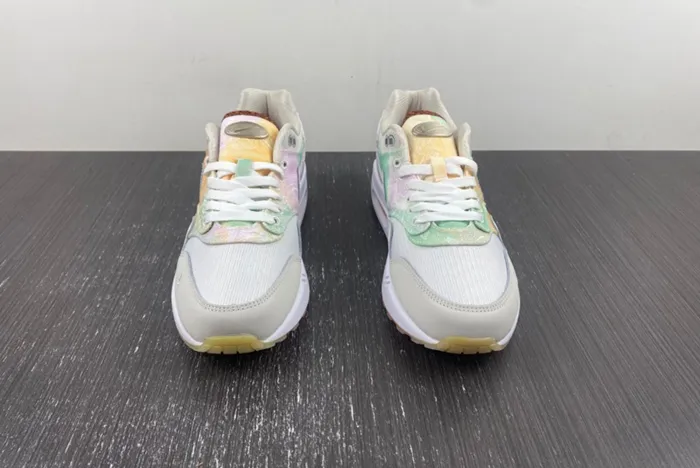 Nike Air Max 1 SNKRS FJ7734-101