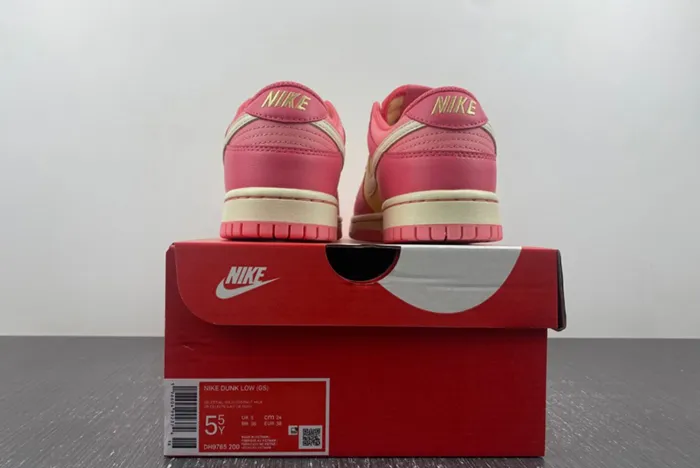 NIKE DUNK LOW GS DH9765-200