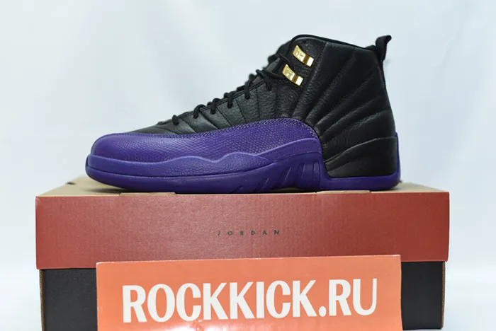 Nike Air Jordan 12 CT8013-057