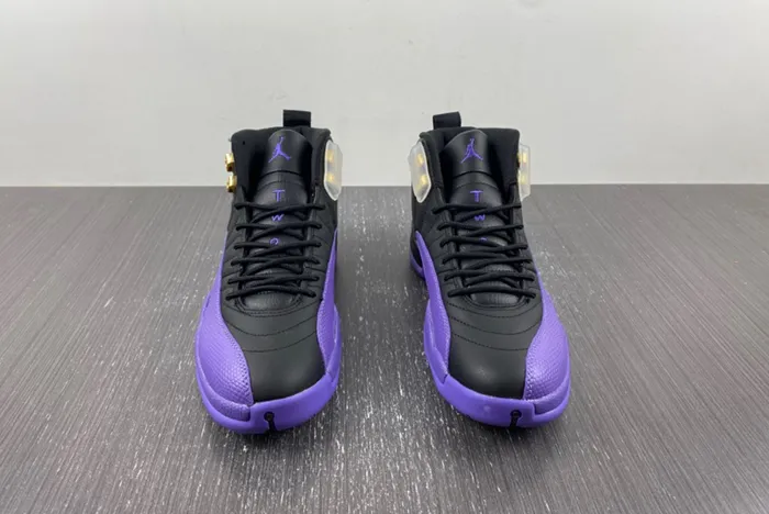 Nike Air Jordan 12 CT8013-057