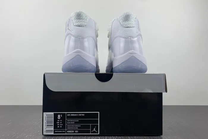 Air Jordan 11 Retro Silver Anniversary 408201-101