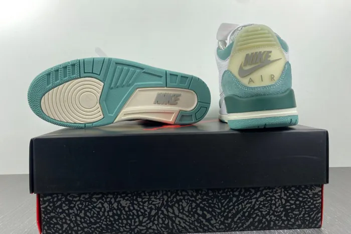 Air Jordan 3 DT8532-130