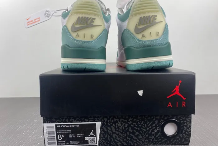 Air Jordan 3 DT8532-130