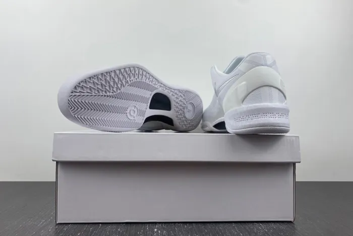 Nike Kobe 8 Protro FJ9364-100