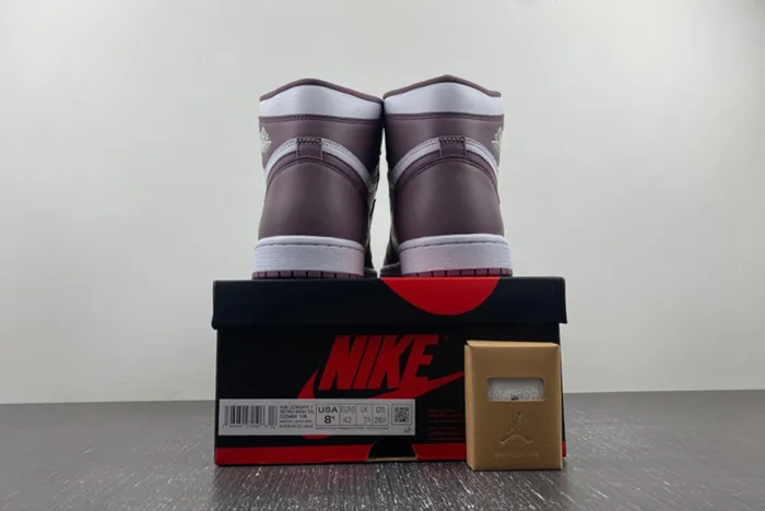 Air Jordan 1 High OG Mauve DZ5485-105