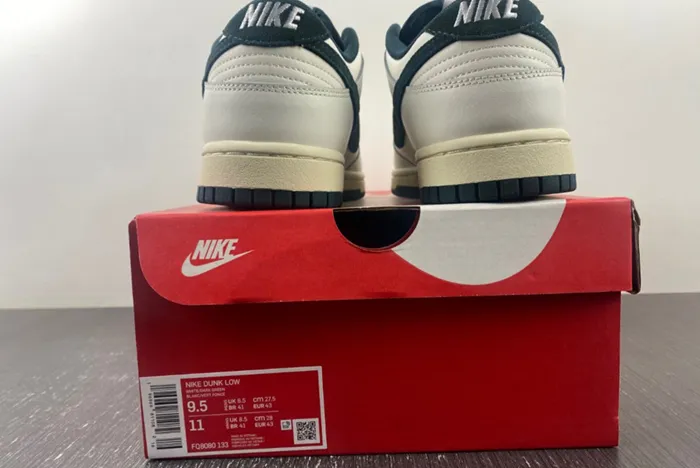 Nike Dunk Low Athletic Department FQ8080-133