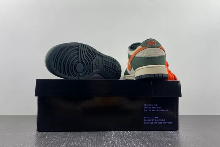 Nike Dunk Low Pro SB Eire 304292-185