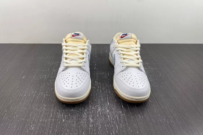 Nike Dunk Low Washed Denim FN6881-100