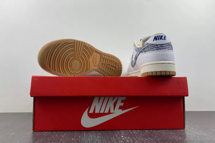 Nike Dunk Low Washed Denim FN6881-100