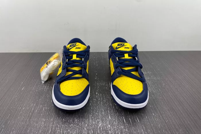 Nike Dunk Low Disrupt 2 DV4024-400