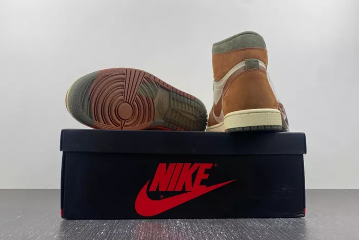 AJ1 Gore-Tex Jordan 1 High DB2889-100