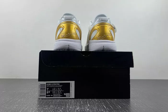 Zoom Kobe VI 429659-108