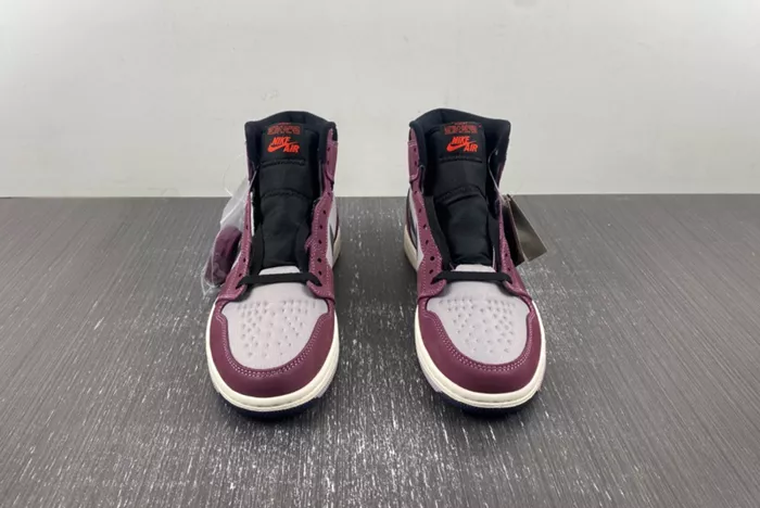 AIR JORDAN 1 HIGH ELEMENT GORE-TEX 