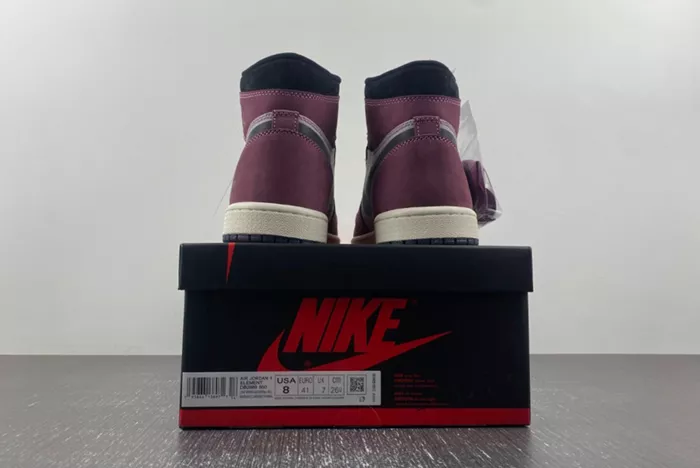 AIR JORDAN 1 HIGH ELEMENT GORE-TEX 