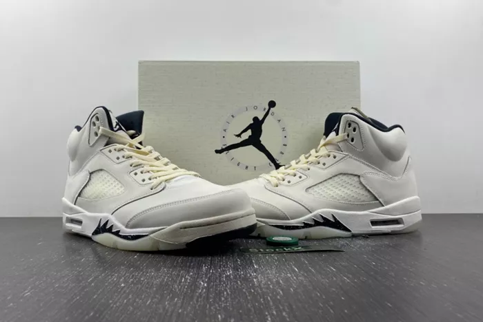 Air Jordan 5 SE Sail FN7405-100