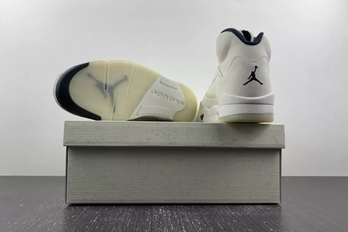 Air Jordan 5 SE Sail FN7405-100