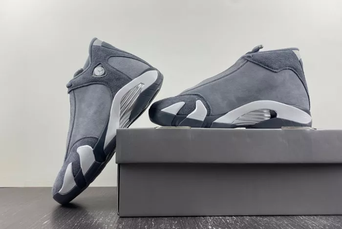 Air Jordan 14  Gool Gray FJ3460-012