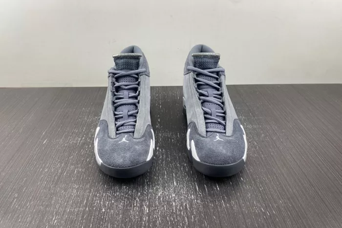 Air Jordan 14  Gool Gray FJ3460-012