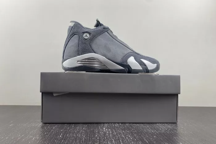 Air Jordan 14  Gool Gray FJ3460-012