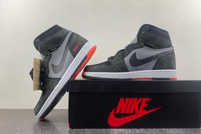 Air Jordan 1 Element Bred DB2889-002