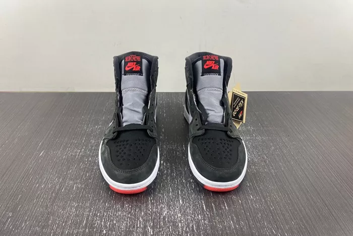 Air Jordan 1 Element Bred DB2889-002