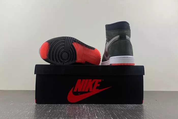 Air Jordan 1 Element Bred DB2889-002