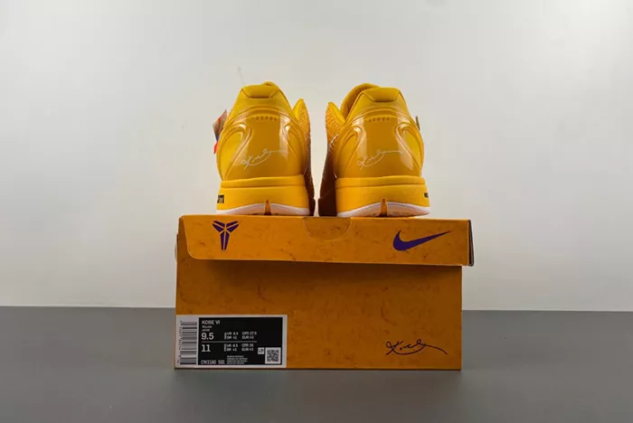 Kobe 6 Protro CW2190-501