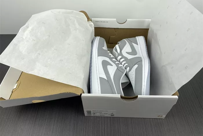 AIR JORDAN 1 LOW DC0774-105