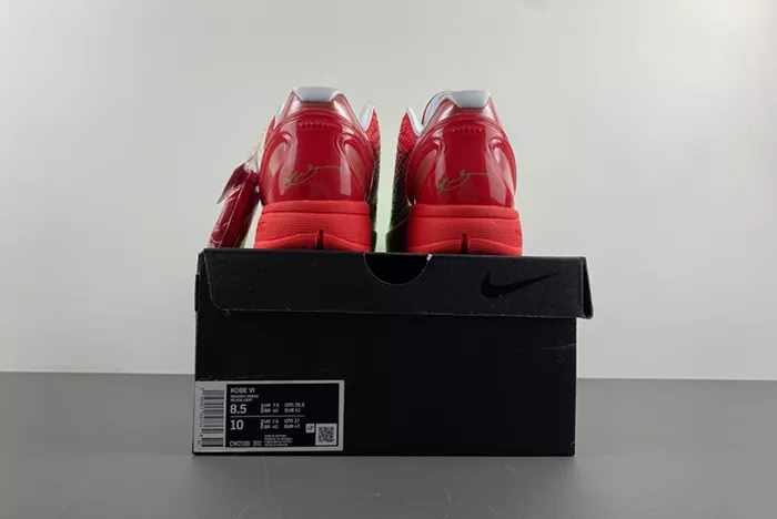 Kobe 6 Protro CW2190-301
