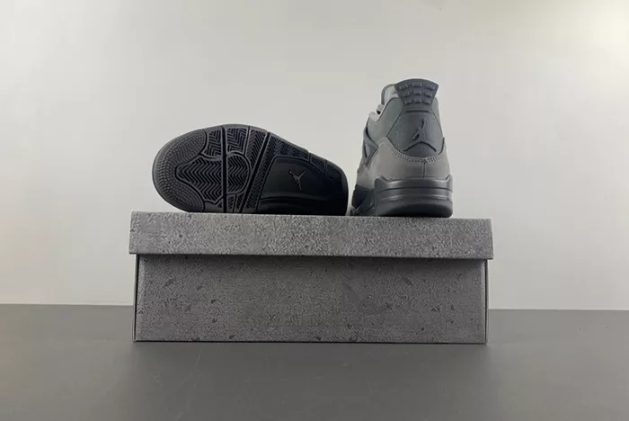 Air Jordan 4 SE Paris Olympics FQ7928-001