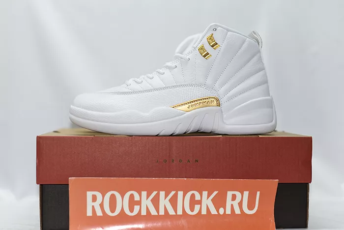 Air Jordan 12 Phantom FD9101-007